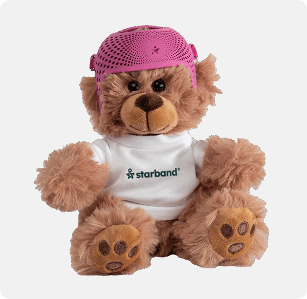 Star Bear - Image 2